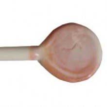 Tongue Pink 5-6mm (591258M)