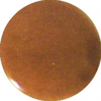 Brown 0173C