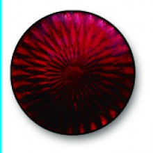 Garnet Red 0111